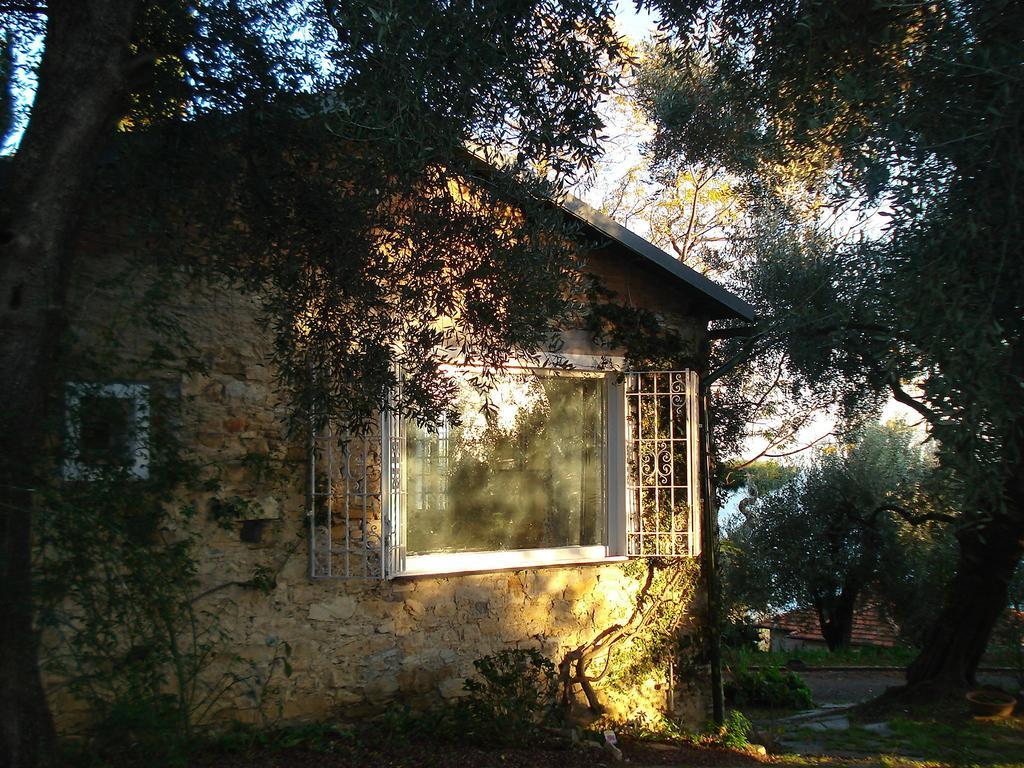 Villa Imperia Oda fotoğraf