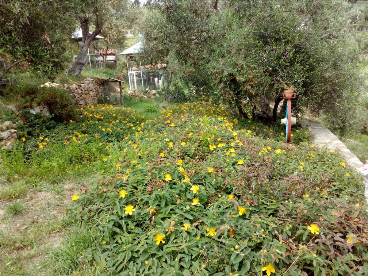 Villa Imperia Dış mekan fotoğraf